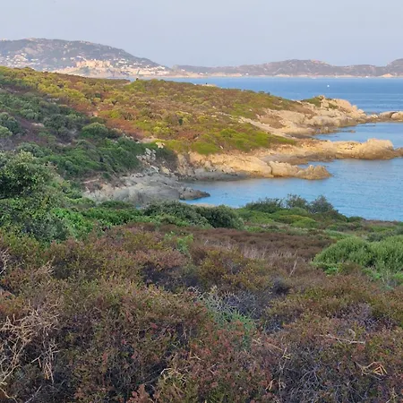 Cocody * Lumio (Corsica)