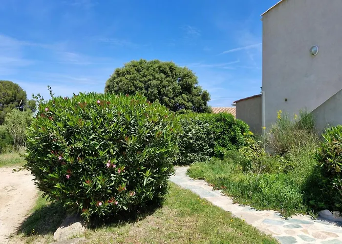 Cocody * Lumio (Corsica)